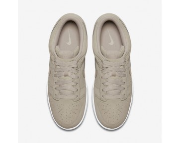 Chaussure Nike Dunk Retro Low Pour Homme Lifestyle Gris Pâle/Blanc/Gris Pâle_NO. 896176-004
