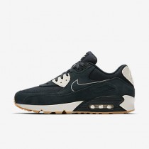 Chaussure Nike Air Max 90 Premium Pour Homme Lifestyle Marine Arsenal/Voile/Jaune Gomme/Marine Arsenal_NO. 700155-403