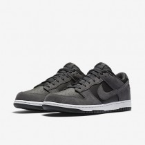 Chaussure Nike Dunk Low Pour Homme Lifestyle Anthracite/Noir/Blanc/Anthracite_NO. 904234-004