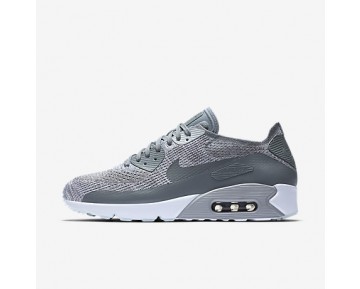 Chaussure Nike Air Max 90 Ultra 2.0 Flyknit Pour Homme Lifestyle Platine Pur/Blanc/Gris Loup/Gris Froid_NO. 875943-003