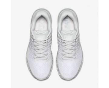 Chaussure Nike Air Max 2017 Pour Femme Lifestyle Platine Pur/Blanc/Blanc Cassé/Gris Loup_NO. 849560-009