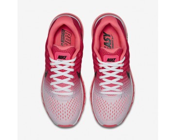 Chaussure Nike Air Max 2017 Pour Femme Running Rouge Cocktail/Rouge Cocktail/Noir_NO. 849560-103