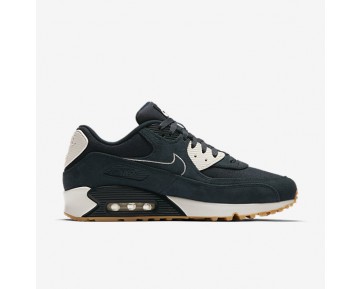 Chaussure Nike Air Max 90 Premium Pour Homme Lifestyle Marine Arsenal/Voile/Jaune Gomme/Marine Arsenal_NO. 700155-403