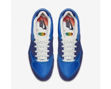 Chaussure Nike Air Zoom Talaria '16 Sp Pour Homme Lifestyle Jaillir/Bleu Royal Profond/Noir/Soufre Éclatant_NO. 844695-401